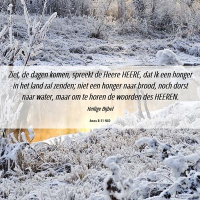 Picture 06 - Amos 8:11 NLD - Ziet, de dagen komen, spreekt de Heere HEERE, dat - Bible Verse Picture