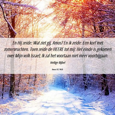Picture 06 - Amos 8:2 NLD - En Hij zeide: Wat ziet gij, Amos? En ik zeide: - Bible Verse Picture
