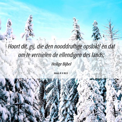 Picture 06 - Amos 8:4 NLD - Hoort dit, gij, die den nooddruftige opslokt! en - Bible Verse Picture