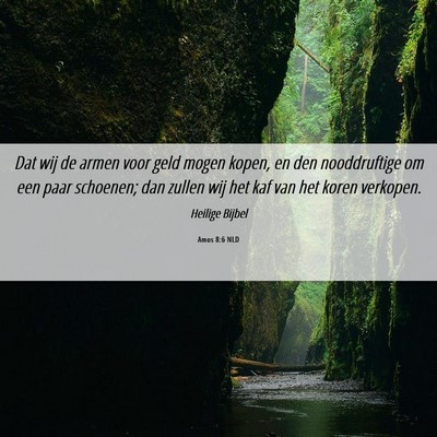 Picture 06 - Amos 8:6 NLD - Dat wij de armen voor geld mogen kopen, en den - Bible Verse Picture