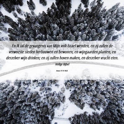 Picture 06 - Amos 9:14 NLD - En Ik zal de gevangenis van Mijn volk Israel - Bible Verse Picture