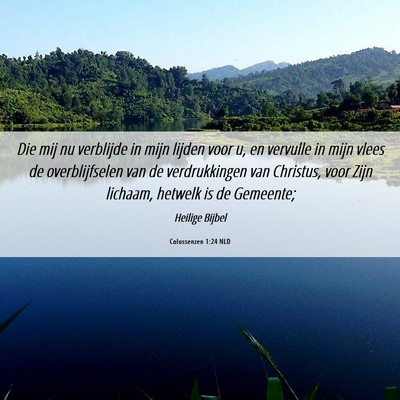 Picture 06 - Colossenzen 1:24 NLD - Die mij nu verblijde in mijn lijden voor u, en - Bible Verse Picture