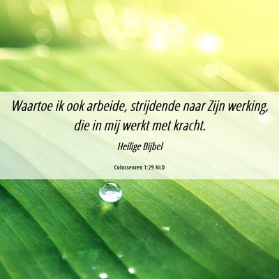 Picture 06 - Colossenzen 1:29 NLD - Waartoe ik ook arbeide, strijdende naar Zijn - Bible Verse Picture