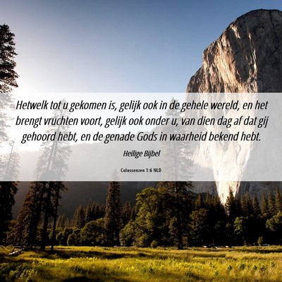 Picture 06 - Colossenzen 1:6 NLD - Hetwelk tot u gekomen is, gelijk ook in de gehele - Bible Verse Picture