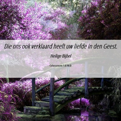 Picture 06 - Colossenzen 1:8 NLD - Die ons ook verklaard heeft uw liefde in den - Bible Verse Picture