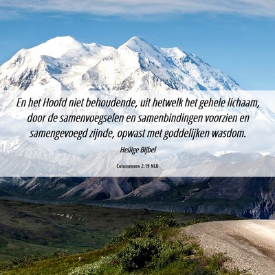 Picture 06 - Colossenzen 2:19 NLD - En het Hoofd niet behoudende, uit hetwelk het - Bible Verse Picture