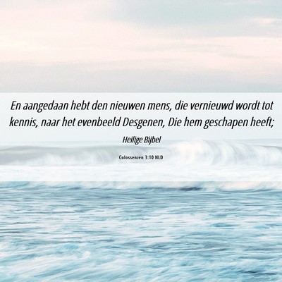 Picture 06 - Colossenzen 3:10 NLD - En aangedaan hebt den nieuwen mens, die vernieuwd - Bible Verse Picture