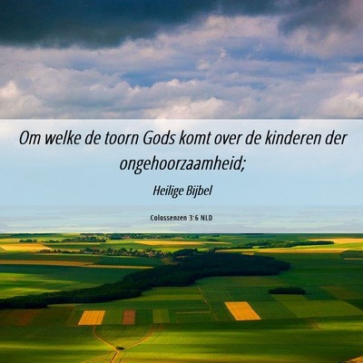 Picture 06 - Colossenzen 3:6 NLD - Om welke de toorn Gods komt over de kinderen der - Bible Verse Picture