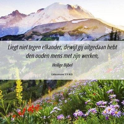 Picture 06 - Colossenzen 3:9 NLD - Liegt niet tegen elkander, dewijl gij uitgedaan - Bible Verse Picture