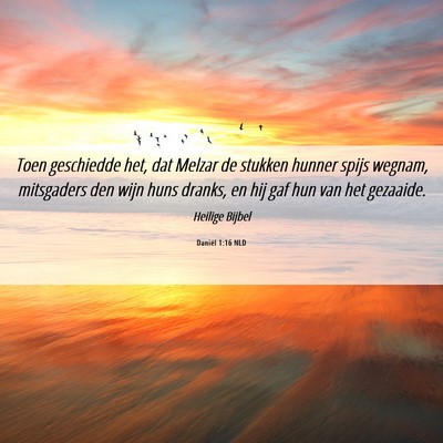 Picture 06 - Daniël 1:16 NLD - Toen geschiedde het, dat Melzar de stukken hunner - Bible Verse Picture