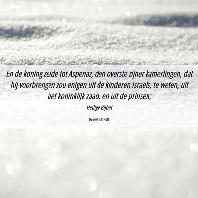 Picture 06 - Daniël 1:3 NLD - En de koning zeide tot Aspenaz, den overste - Bible Verse Picture