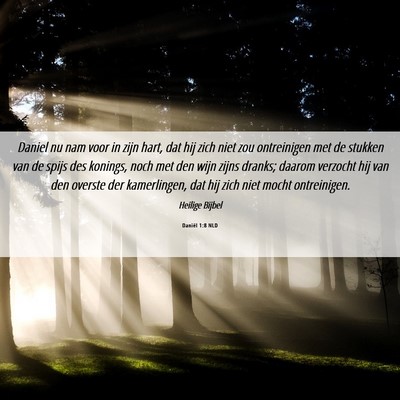 Picture 06 - Daniël 1:8 NLD - Daniel nu nam voor in zijn hart, dat hij zich - Bible Verse Picture