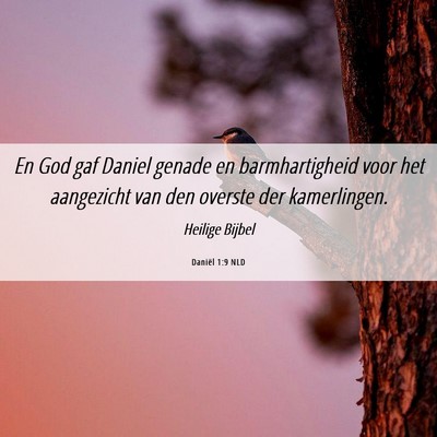 Picture 06 - Daniël 1:9 NLD - En God gaf Daniel genade en barmhartigheid voor - Bible Verse Picture