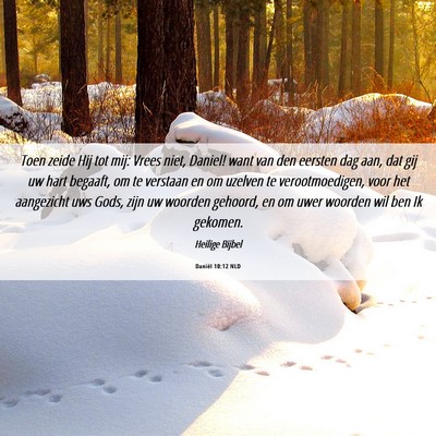 Picture 06 - Daniël 10:12 NLD - Toen zeide Hij tot mij: Vrees niet, Daniel! want - Bible Verse Picture