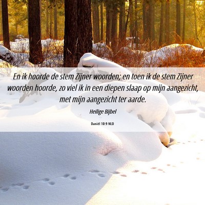 Picture 06 - Daniël 10:9 NLD - En ik hoorde de stem Zijner woorden; en toen ik - Bible Verse Picture