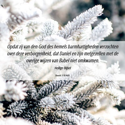 Picture 06 - Daniël 2:18 NLD - Opdat zij van den God des hemels barmhartigheden - Bible Verse Picture