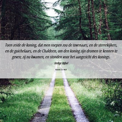 Picture 06 - Daniël 2:2 NLD - Toen zeide de koning, dat men roepen zou de - Bible Verse Picture