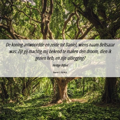 Picture 06 - Daniël 2:26 NLD - De koning antwoordde en zeide tot Daniel, wiens - Bible Verse Picture