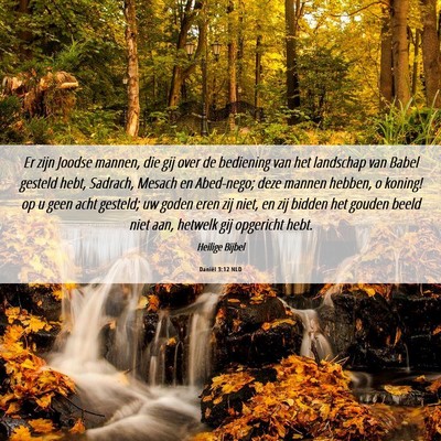 Picture 06 - Daniël 3:12 NLD - Er zijn Joodse mannen, die gij over de bediening - Bible Verse Picture