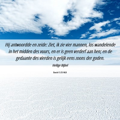 Picture 06 - Daniël 3:25 NLD - Hij antwoordde en zeide: Ziet, ik zie vier - Bible Verse Picture