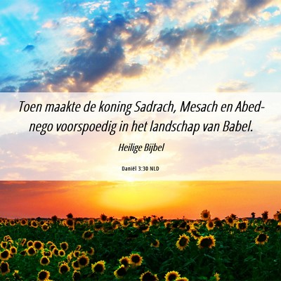 Picture 06 - Daniël 3:30 NLD - Toen maakte de koning Sadrach, Mesach en - Bible Verse Picture