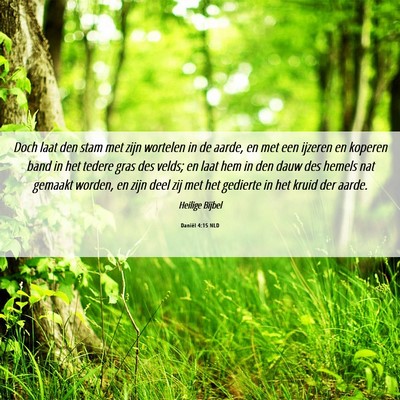 Picture 06 - Daniël 4:15 NLD - Doch laat den stam met zijn wortelen in de aarde, - Bible Verse Picture