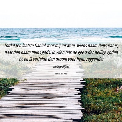 Picture 06 - Daniël 4:8 NLD - Totdat ten laatste Daniel voor mij inkwam, wiens - Bible Verse Picture