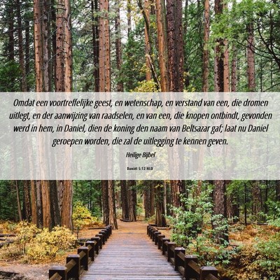 Picture 06 - Daniël 5:12 NLD - Omdat een voortreffelijke geest, en wetenschap, - Bible Verse Picture