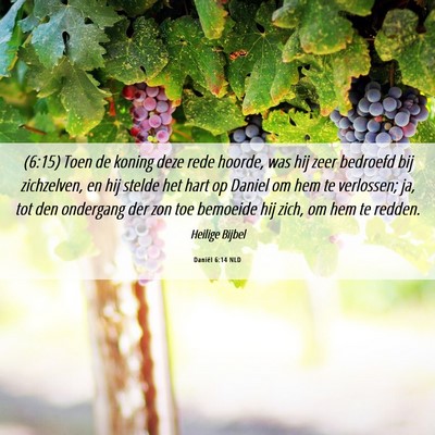 Picture 06 - Daniël 6:14 NLD - (6:15) Toen de koning deze rede hoorde, was hij - Bible Verse Picture