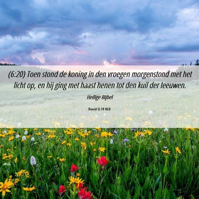 Picture 06 - Daniël 6:19 NLD - (6:20) Toen stond de koning in den vroegen - Bible Verse Picture