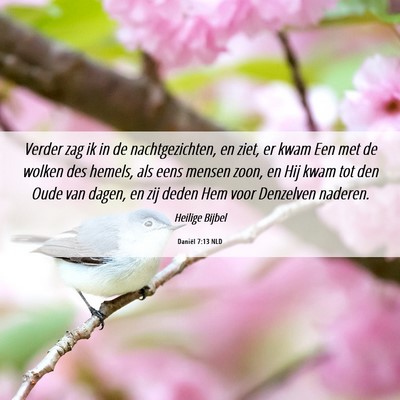 Picture 06 - Daniël 7:13 NLD - Verder zag ik in de nachtgezichten, en ziet, er - Bible Verse Picture