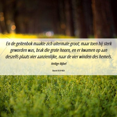 Picture 06 - Daniël 8:8 NLD - En de geitenbok maakte zich uitermate groot; maar - Bible Verse Picture