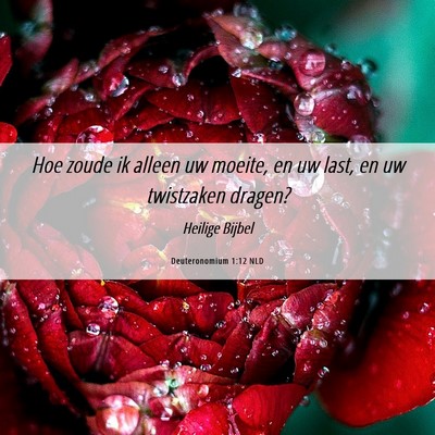 Picture 06 - Deuteronomium 1:12 NLD - Hoe zoude ik alleen uw moeite, en uw last, en uw - Bible Verse Picture