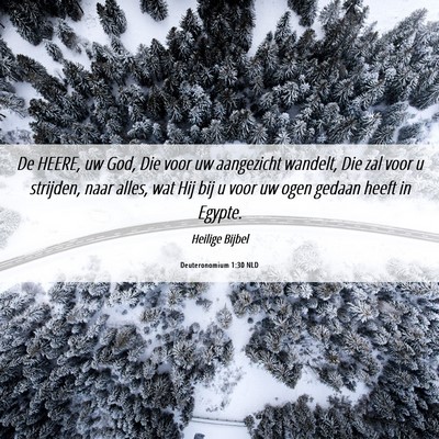 Picture 06 - Deuteronomium 1:30 NLD - De HEERE, uw God, Die voor uw aangezicht wandelt, - Bible Verse Picture