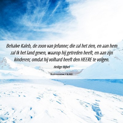 Picture 06 - Deuteronomium 1:36 NLD - Behalve Kaleb, de zoon van Jefunne; die zal het - Bible Verse Picture