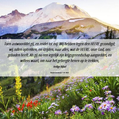 Picture 06 - Deuteronomium 1:41 NLD - Toen antwoorddet gij, en zeidet tot mij: Wij - Bible Verse Picture