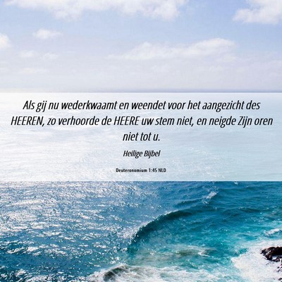 Picture 06 - Deuteronomium 1:45 NLD - Als gij nu wederkwaamt en weendet voor het - Bible Verse Picture