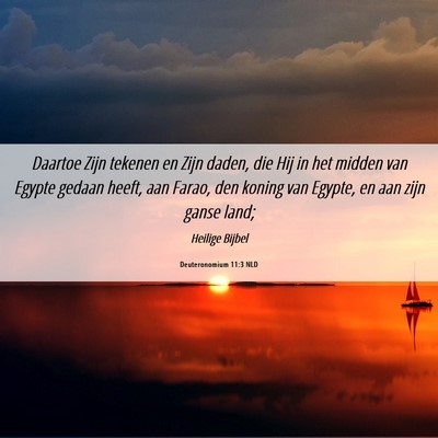 Picture 06 - Deuteronomium 11:3 NLD - Daartoe Zijn tekenen en Zijn daden, die Hij in - Bible Verse Picture