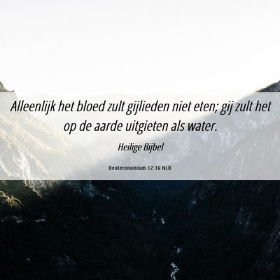 Picture 06 - Deuteronomium 12:16 NLD - Alleenlijk het bloed zult gijlieden niet eten; - Bible Verse Picture