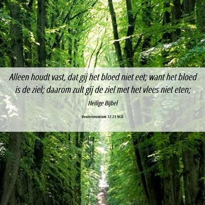 Picture 06 - Deuteronomium 12:23 NLD - Alleen houdt vast, dat gij het bloed niet eet; - Bible Verse Picture