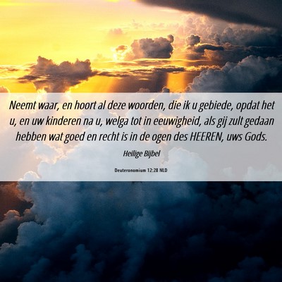 Picture 06 - Deuteronomium 12:28 NLD - Neemt waar, en hoort al deze woorden, die ik u - Bible Verse Picture