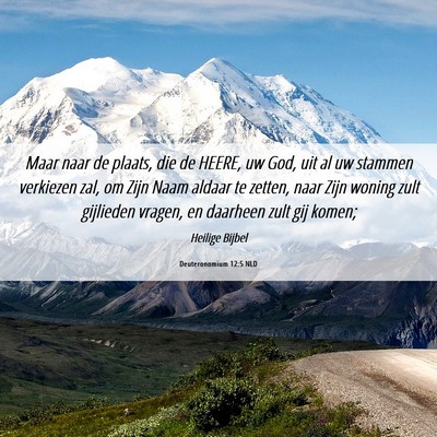 Picture 06 - Deuteronomium 12:5 NLD - Maar naar de plaats, die de HEERE, uw God, uit al - Bible Verse Picture