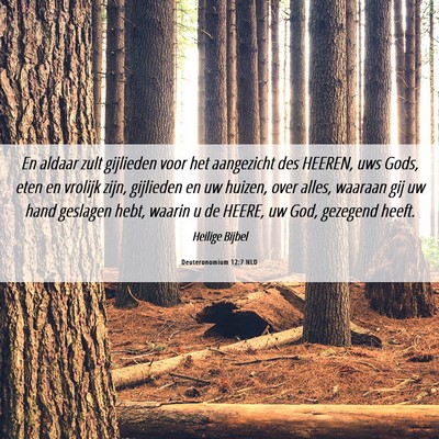Picture 06 - Deuteronomium 12:7 NLD - En aldaar zult gijlieden voor het aangezicht des - Bible Verse Picture