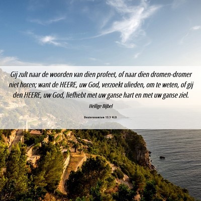 Picture 06 - Deuteronomium 13:3 NLD - Gij zult naar de woorden van dien profeet, of - Bible Verse Picture