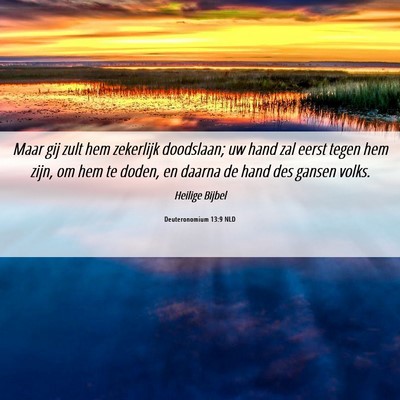 Picture 06 - Deuteronomium 13:9 NLD - Maar gij zult hem zekerlijk doodslaan; uw hand - Bible Verse Picture