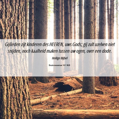 Picture 06 - Deuteronomium 14:1 NLD - Gijlieden zijt kinderen des HEEREN, uws Gods; gij - Bible Verse Picture
