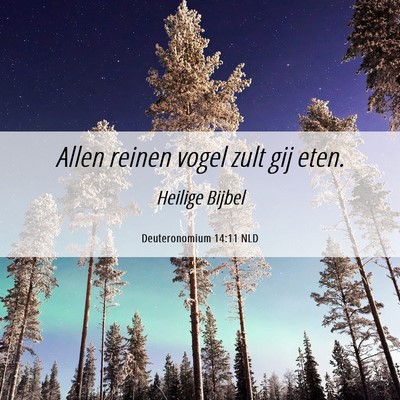 Picture 06 - Deuteronomium 14:11 NLD - Allen reinen vogel zult gij - Bible Verse Picture