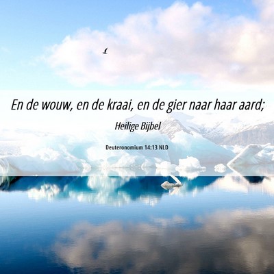 Picture 06 - Deuteronomium 14:13 NLD - En de wouw, en de kraai, en de gier naar haar - Bible Verse Picture