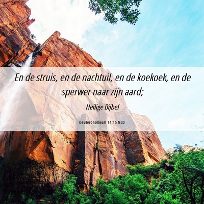Picture 06 - Deuteronomium 14:15 NLD - En de struis, en de nachtuil, en de koekoek, en - Bible Verse Picture