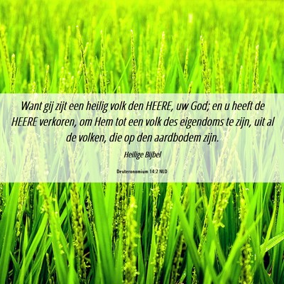 Picture 06 - Deuteronomium 14:2 NLD - Want gij zijt een heilig volk den HEERE, uw God; - Bible Verse Picture